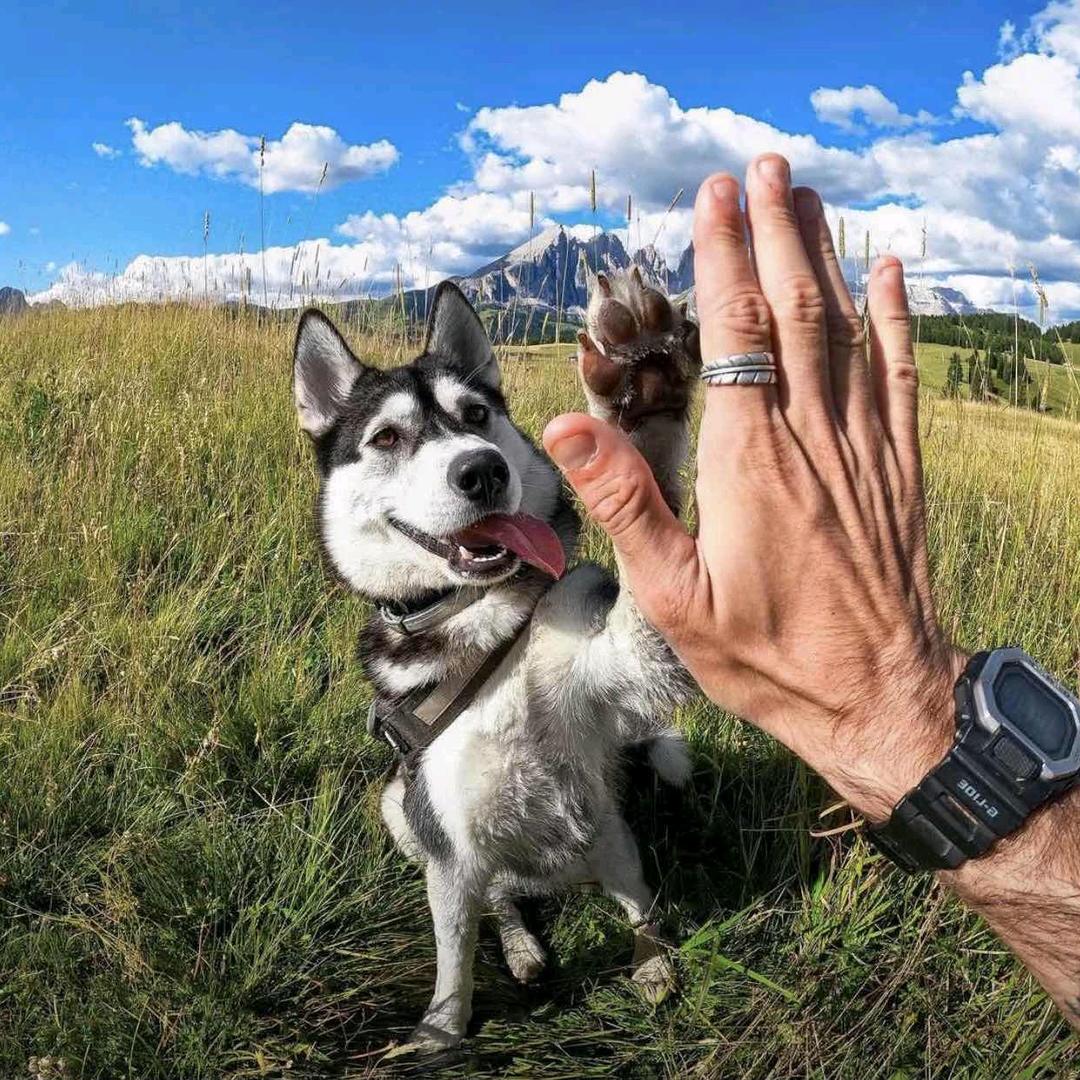 🥝•*¨*•.¸¸🎶🥝•*¨*•.¸¸🎶