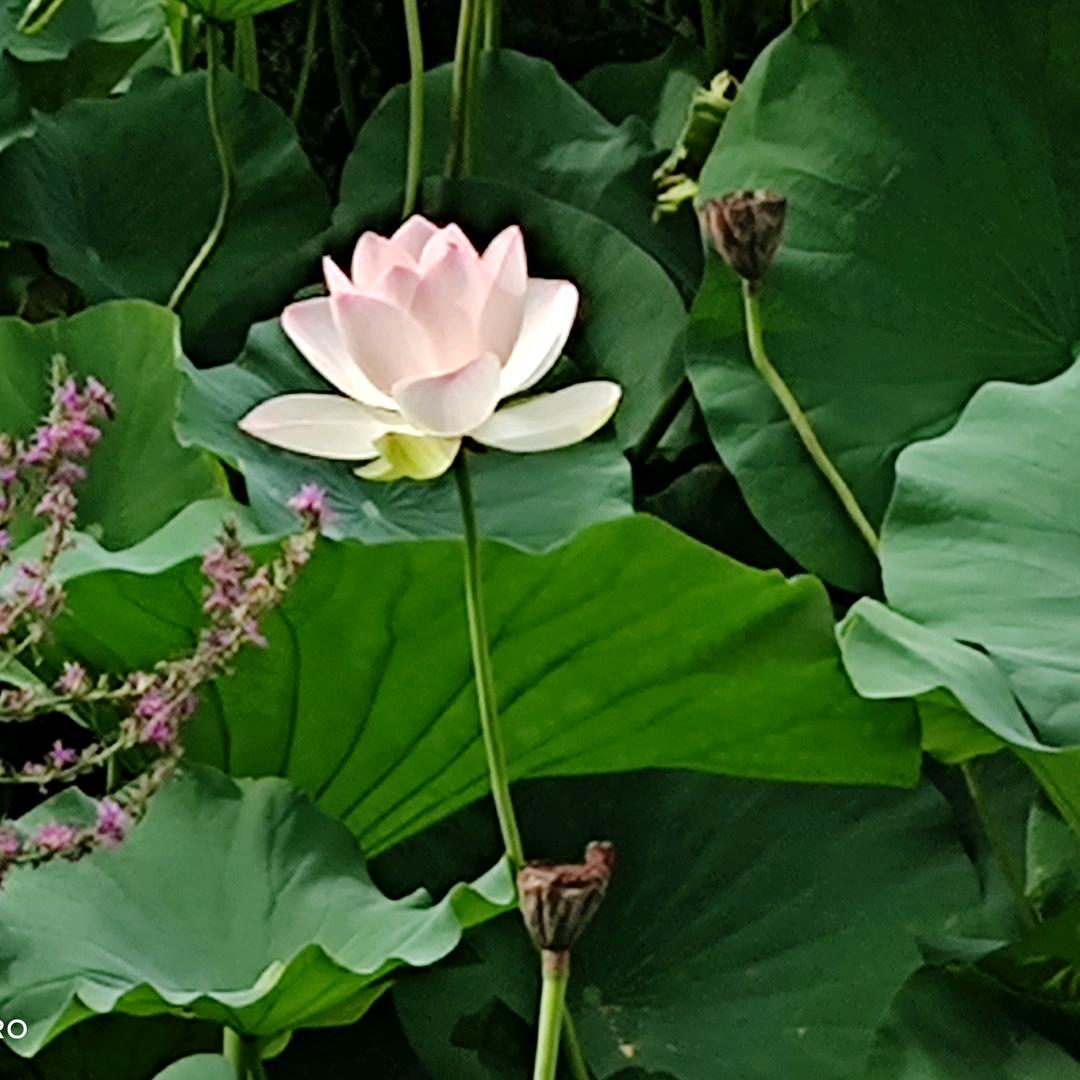 陈姐