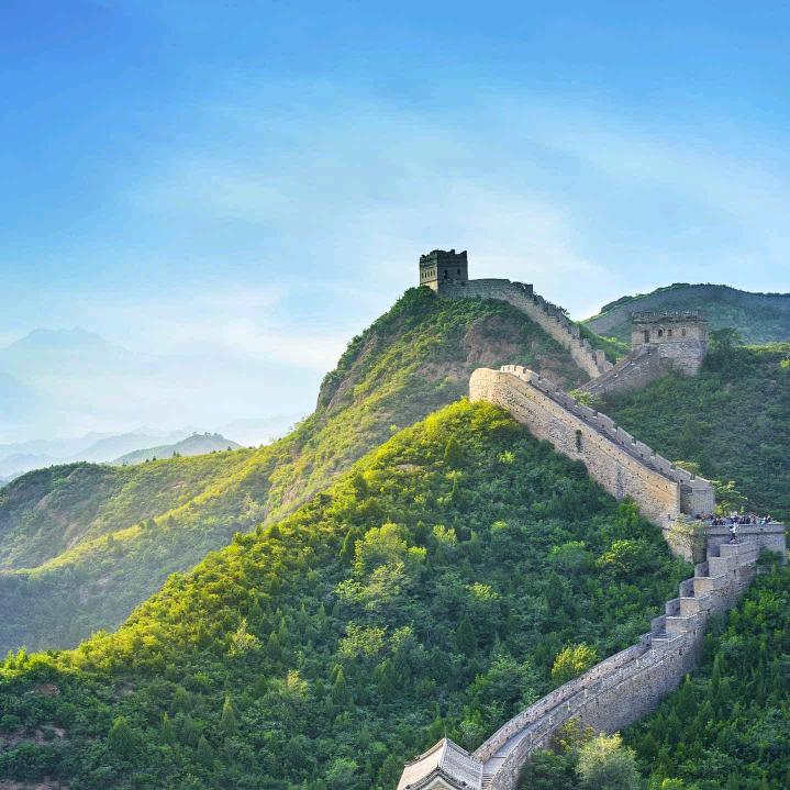 好运来