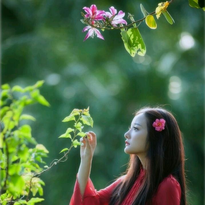 小花洒吖