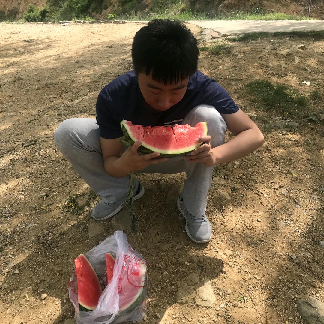 纸鸢