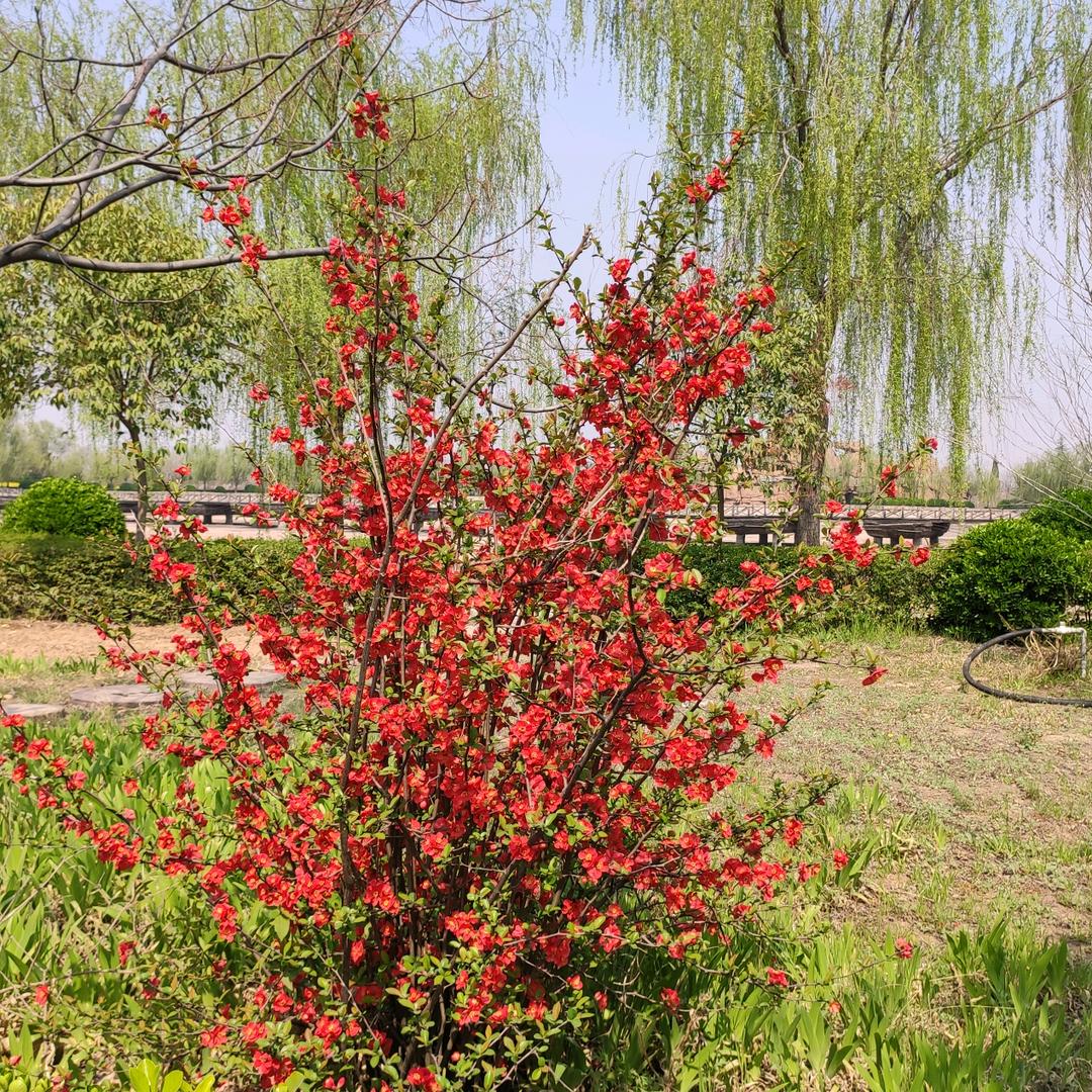 随缘