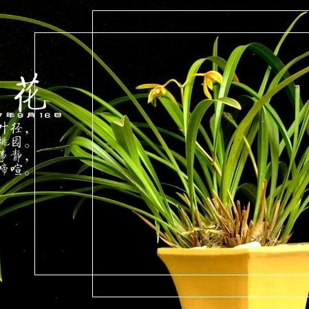 心安理得