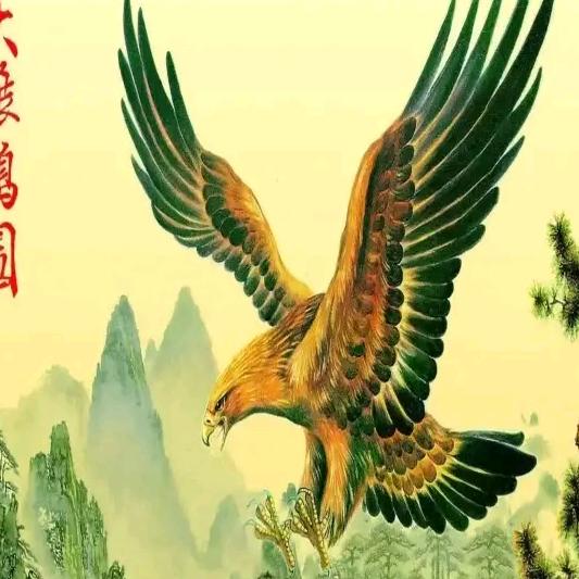 自由飞翔