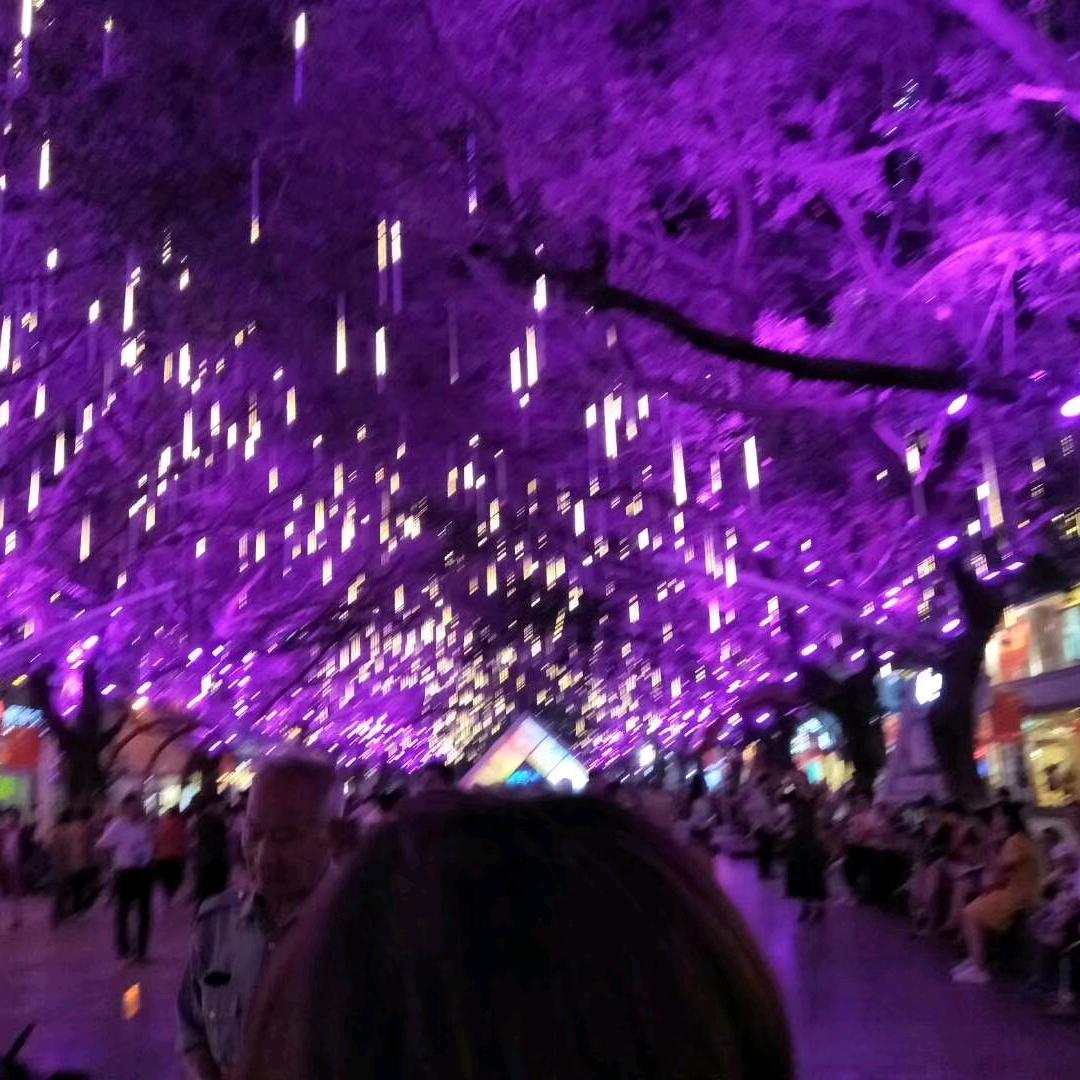 为爱停留