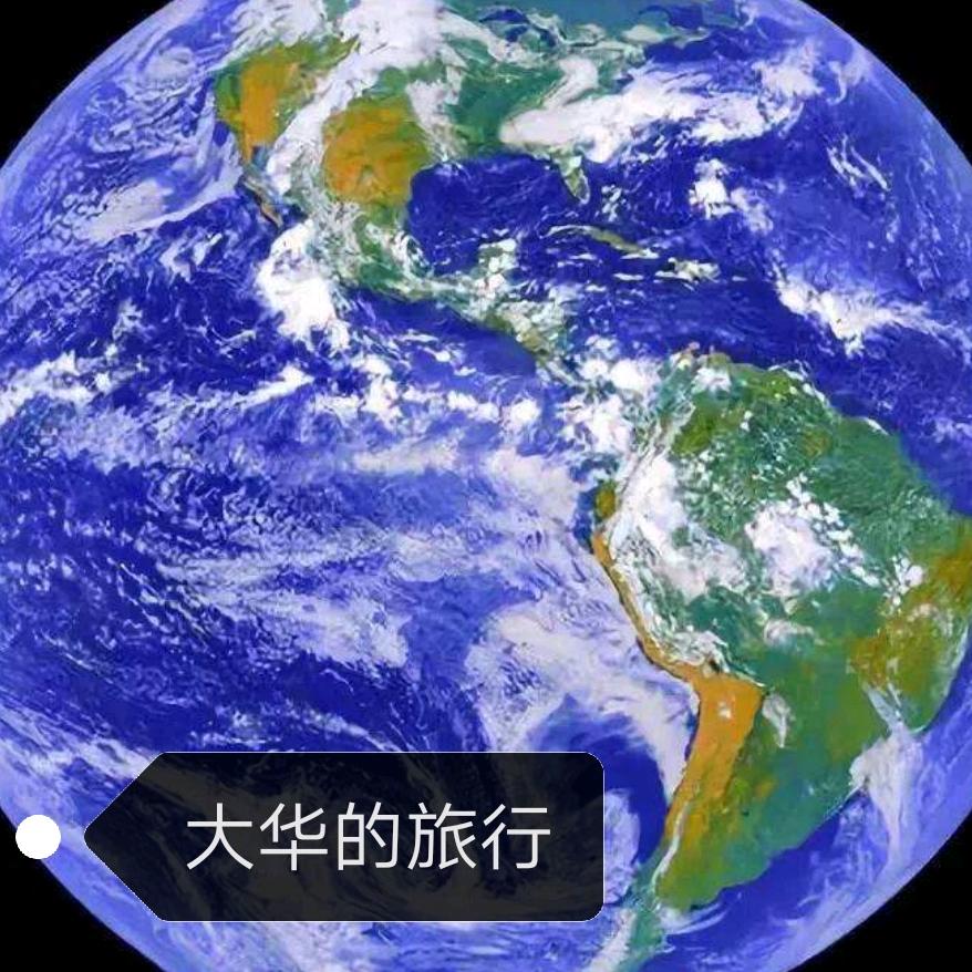 大华