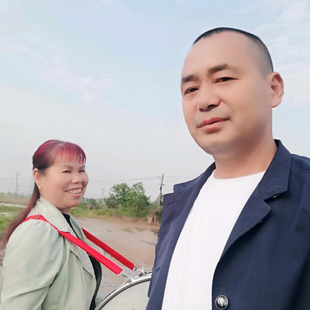 老杨乐队