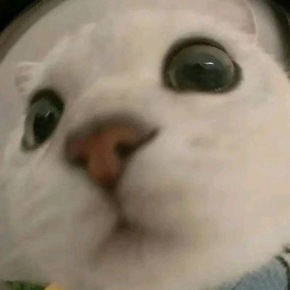 NickNick