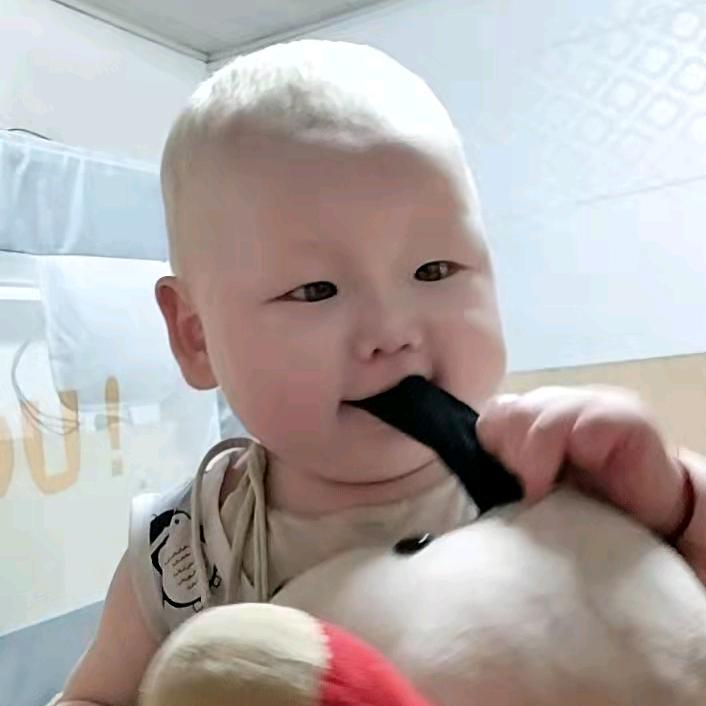 抓机小王