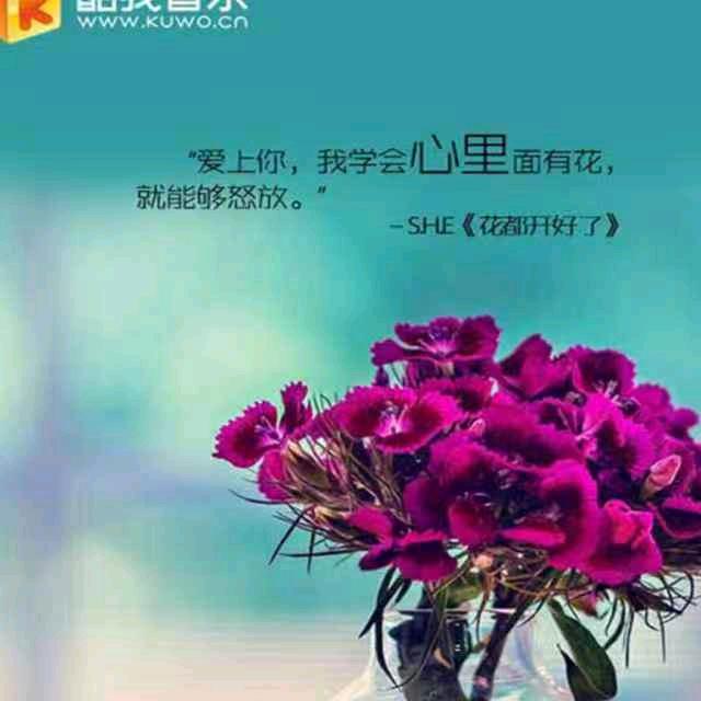 红姐