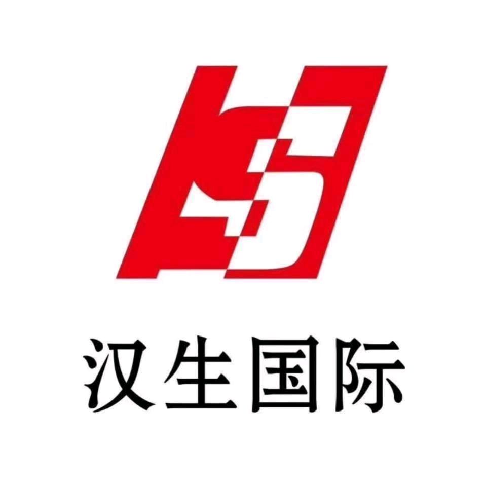 汉生国际人力资源开发有限公司