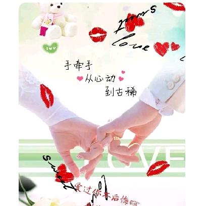 蜜蜂的花香