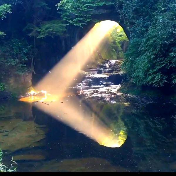 🌈神一样的男人