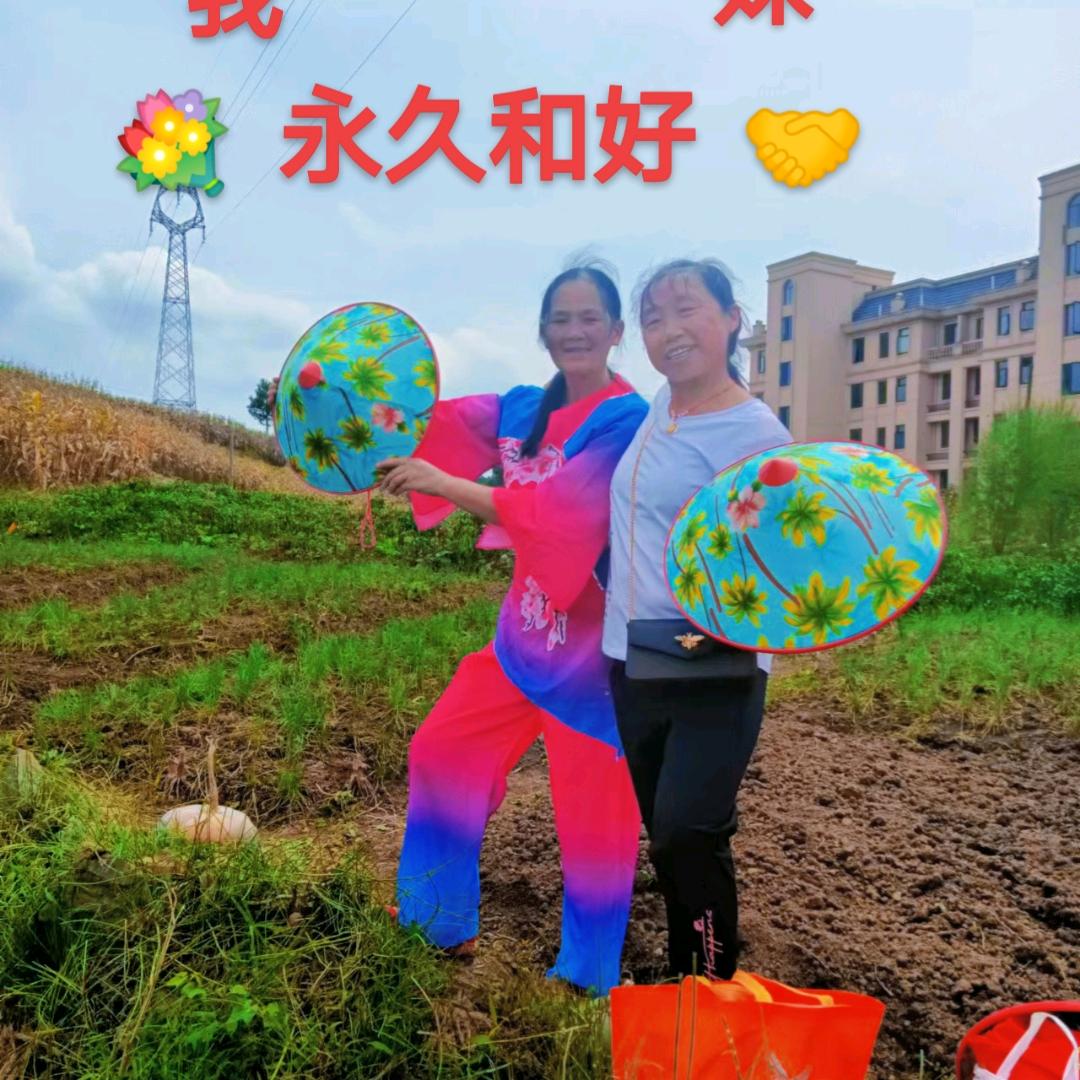 梦见家乡
