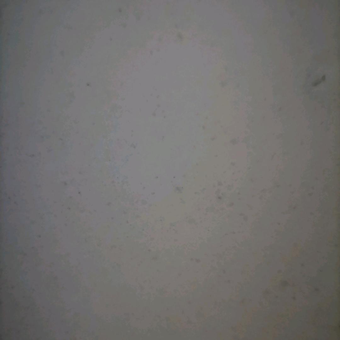 空白