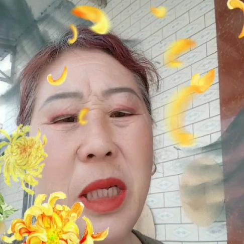 `菊花