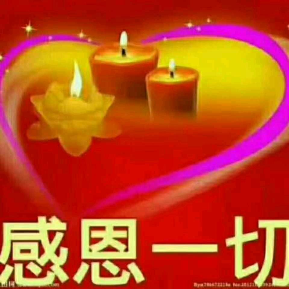 快乐一生🌺