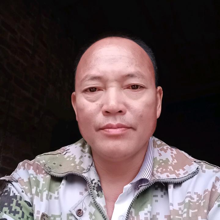 自由的飞翔