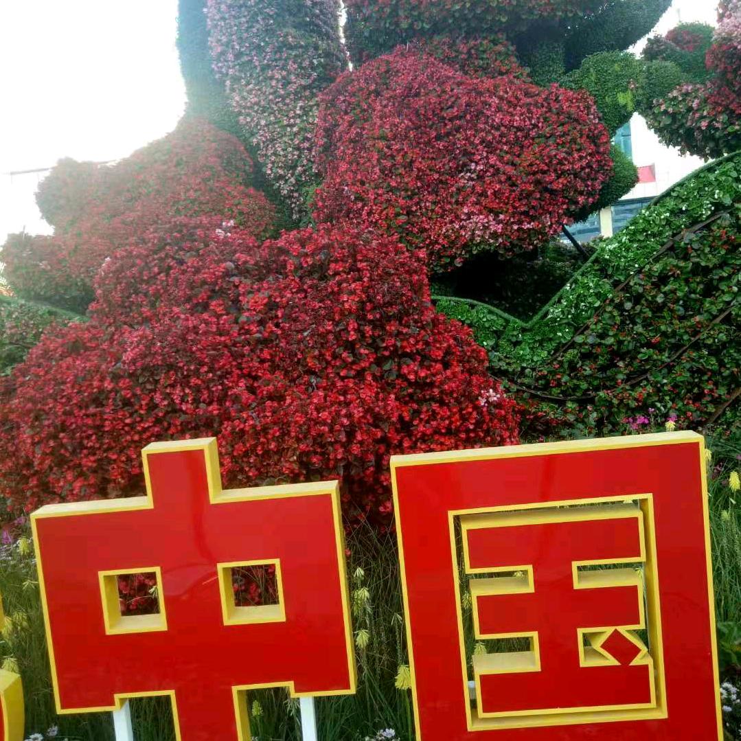 专业电工