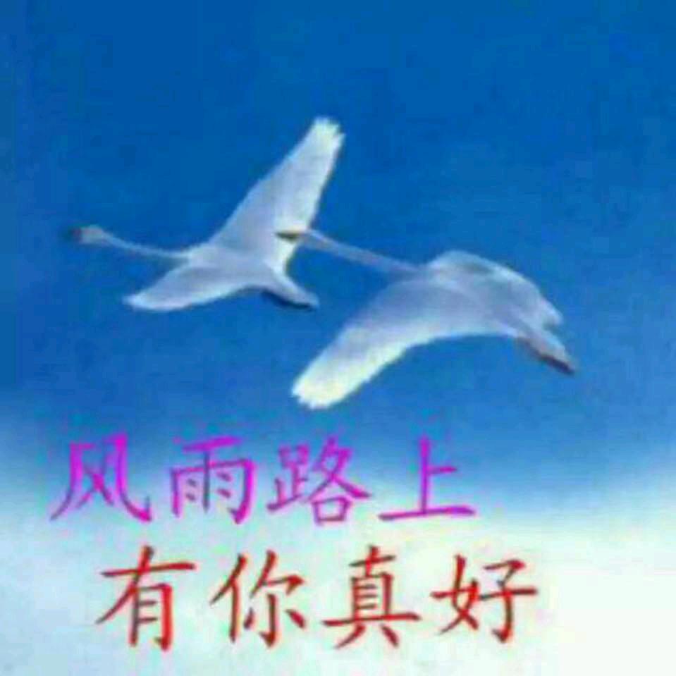 苏心