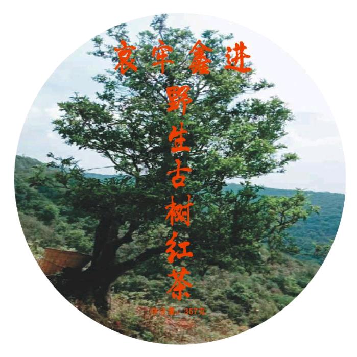 哀牢山鑫进茶厂