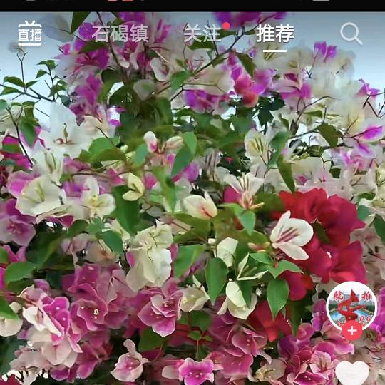 穷山恶水