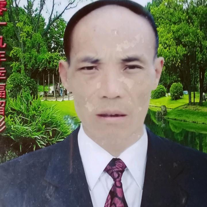 罗溪令狐昌维养猪场，蜜蜂土养