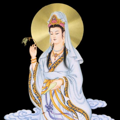 妙琴