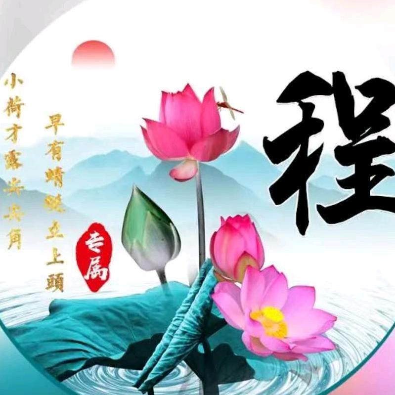 雅致精装