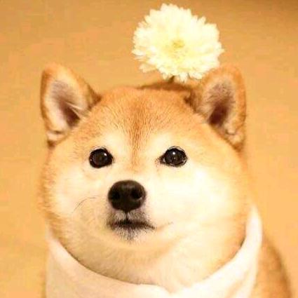 某桃子人