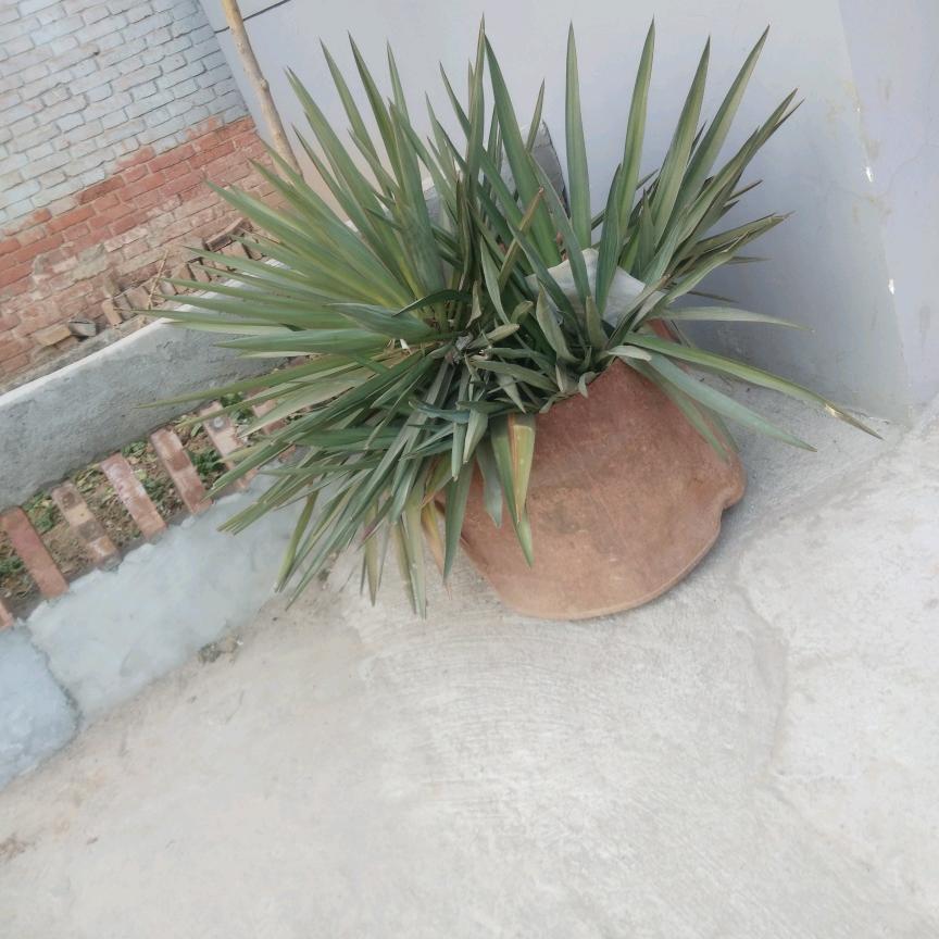 福杯满满