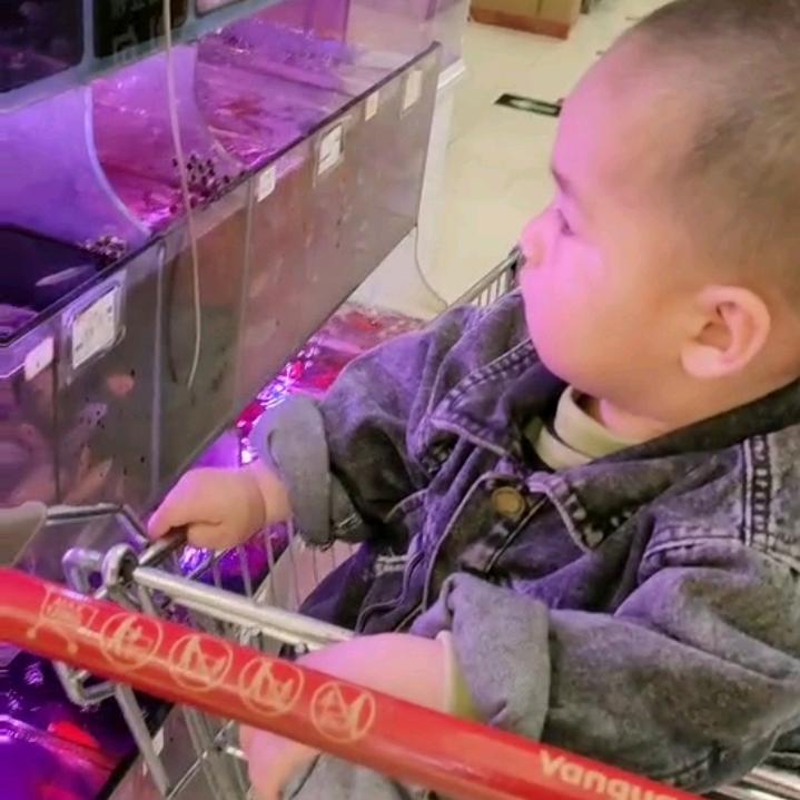 🌿🌺菊🌿🌺花🌿