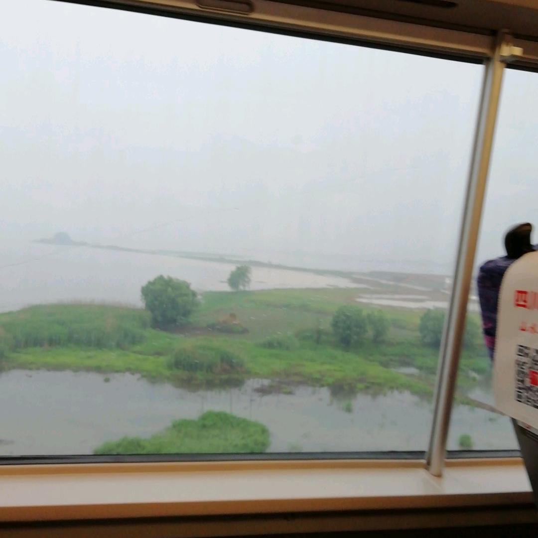 雾里看花