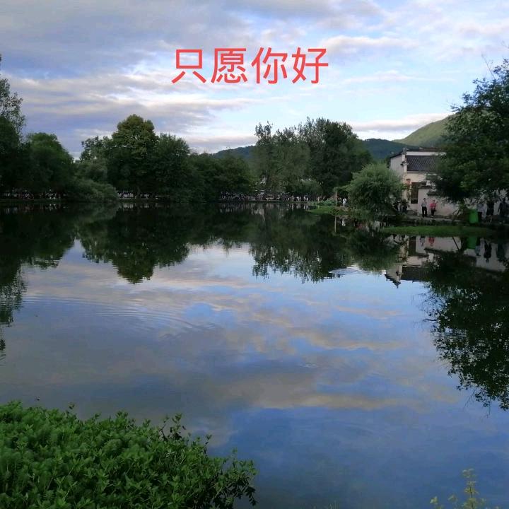 只愿你好