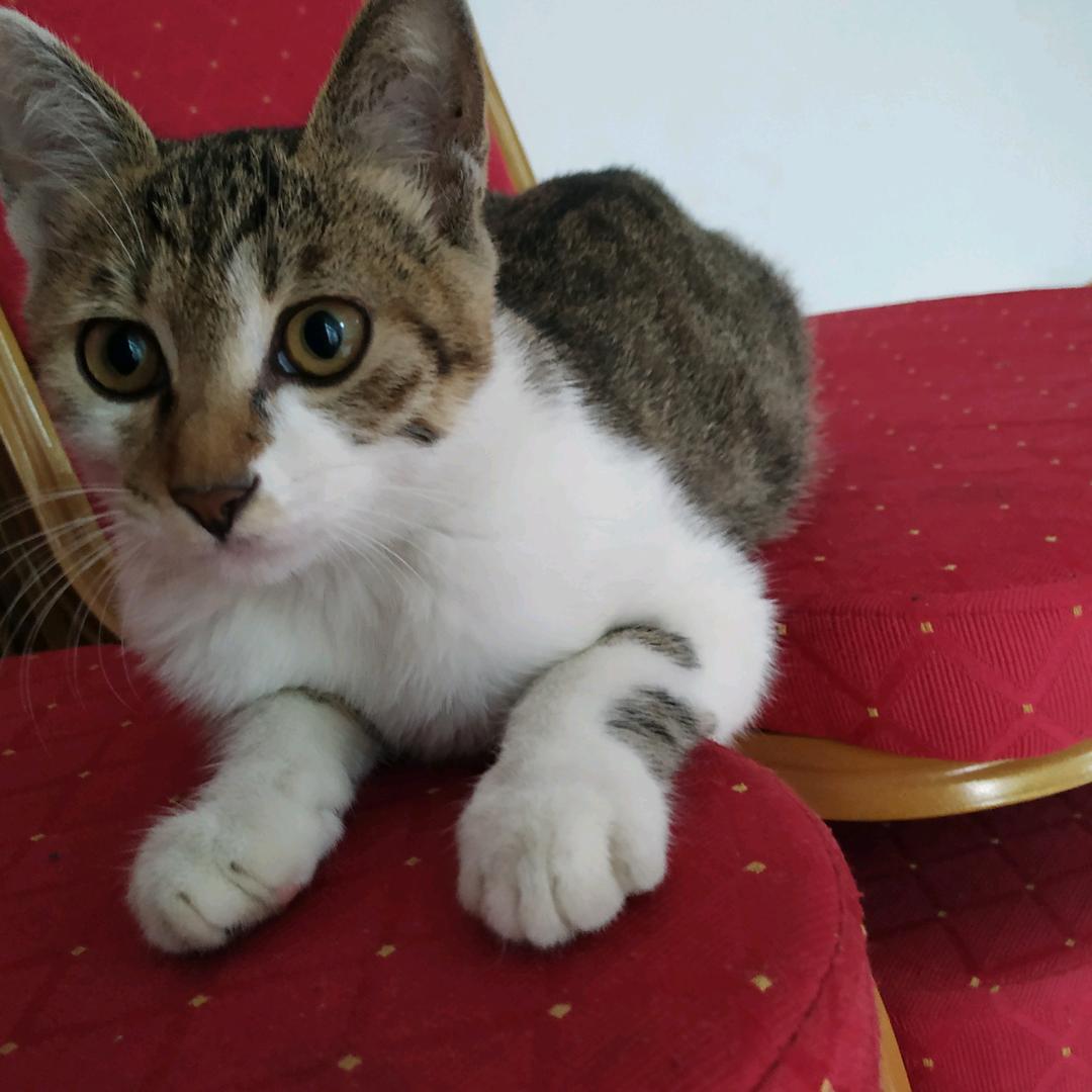 葡萄，我的小可爱