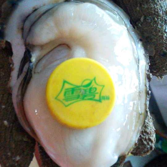 湛江土豪哥