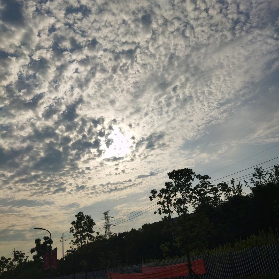 众人皆醒我独醉