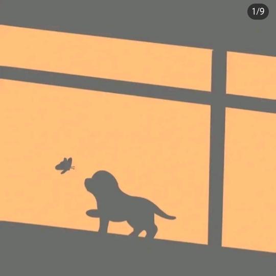 宁波卧花宠物终端服务