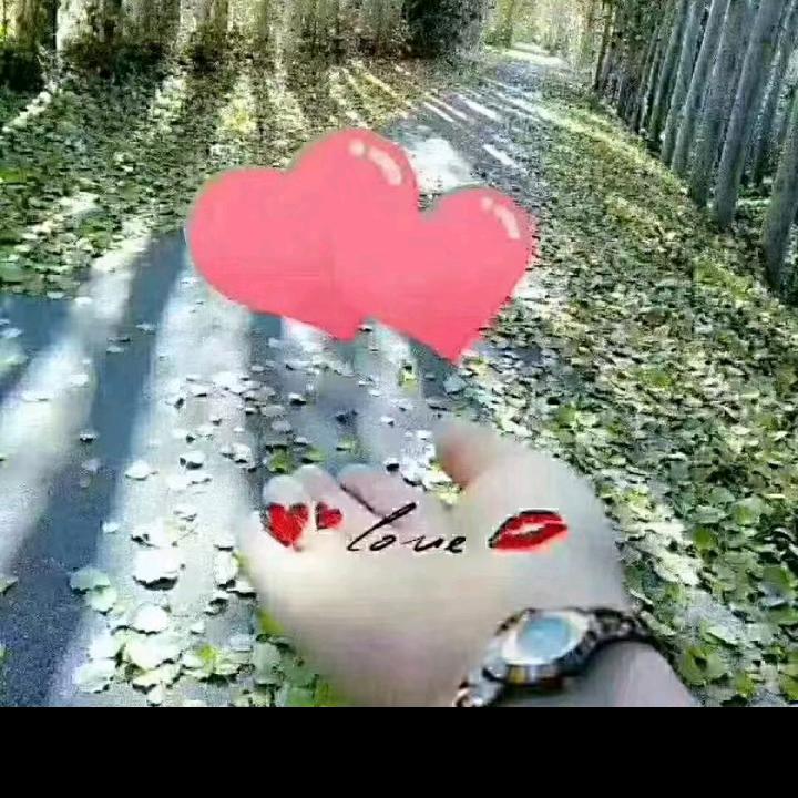 红玫瑰🌹