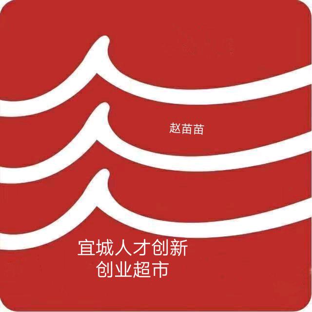 宜城人才超市－赵苗苗