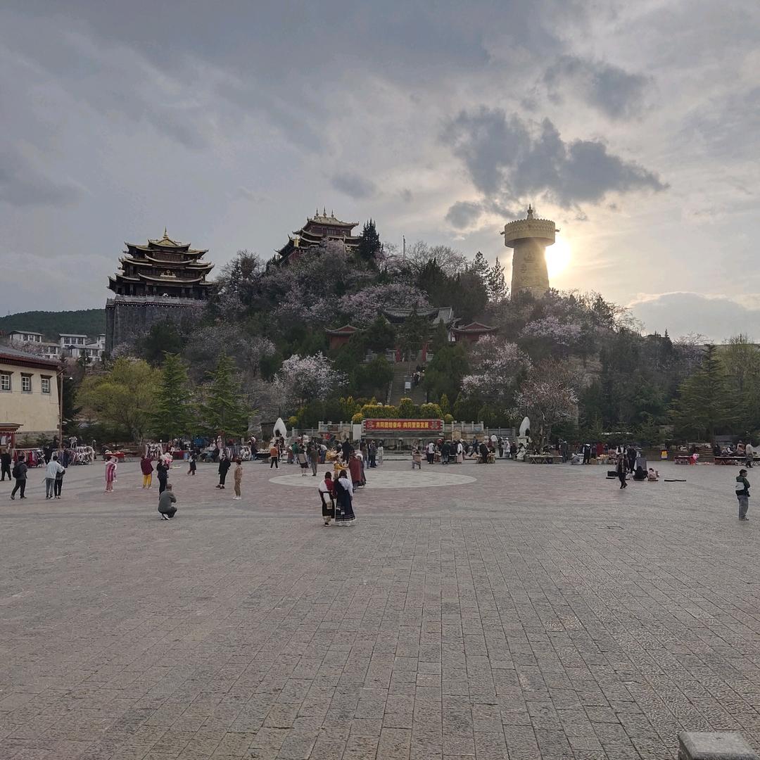 南方土豆