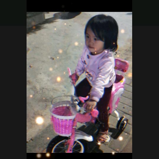 大马猴，海南门窗分猴