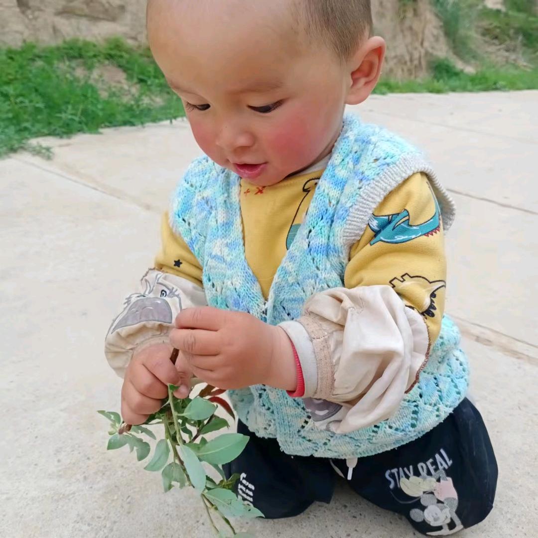 🍀大掌柜🍀258