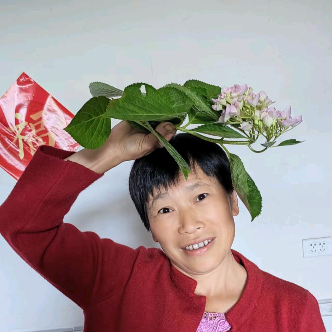 兰草（百货🌹晚六点半）