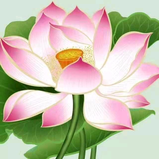 @老妈的幸福😃
