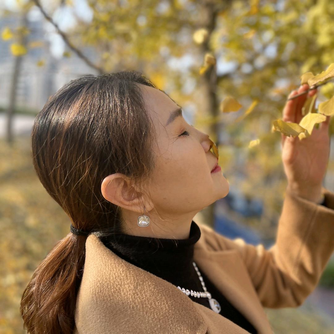 ☘🍀茉莉花🌿