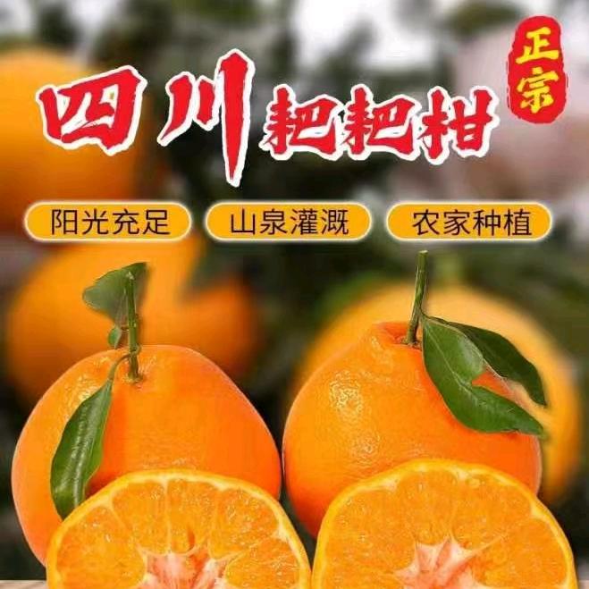 荣州鼎创优选