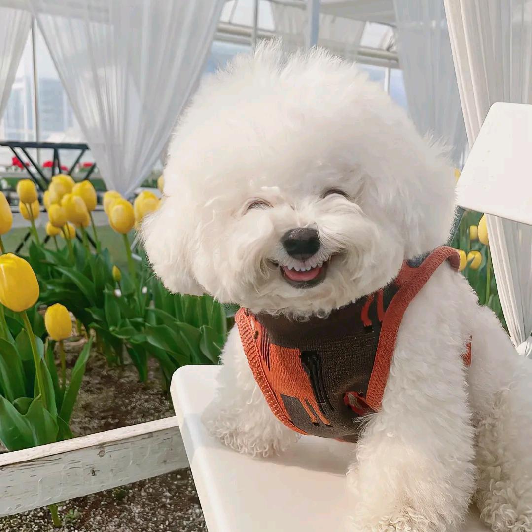 理想+瀚云轩-赵佳