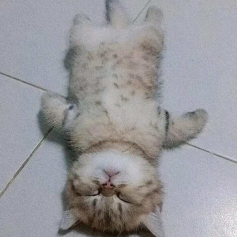 晚宁•᷄ࡇ•᷅