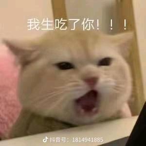 顺心苗条自信吹吹